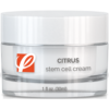 Citrus Stem Cell Cream